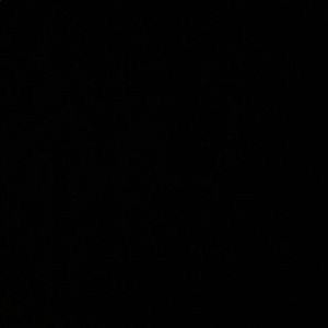 Meet your Posher, Jaden